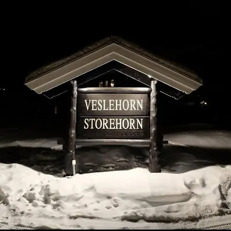 Appartement Spacious 2-bedroom - Veslehorn 14 *