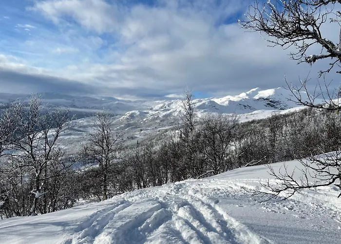 Spacious 2-bedroom - Veslehorn 14 Hemsedal