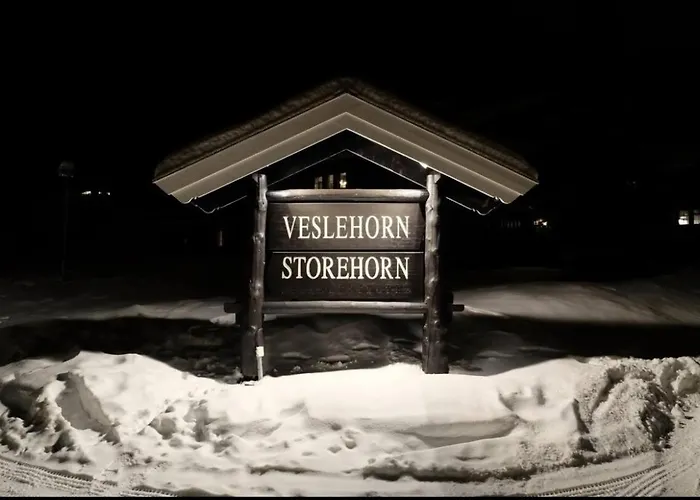 شقة Spacious 2-bedroom - Veslehorn 14 *